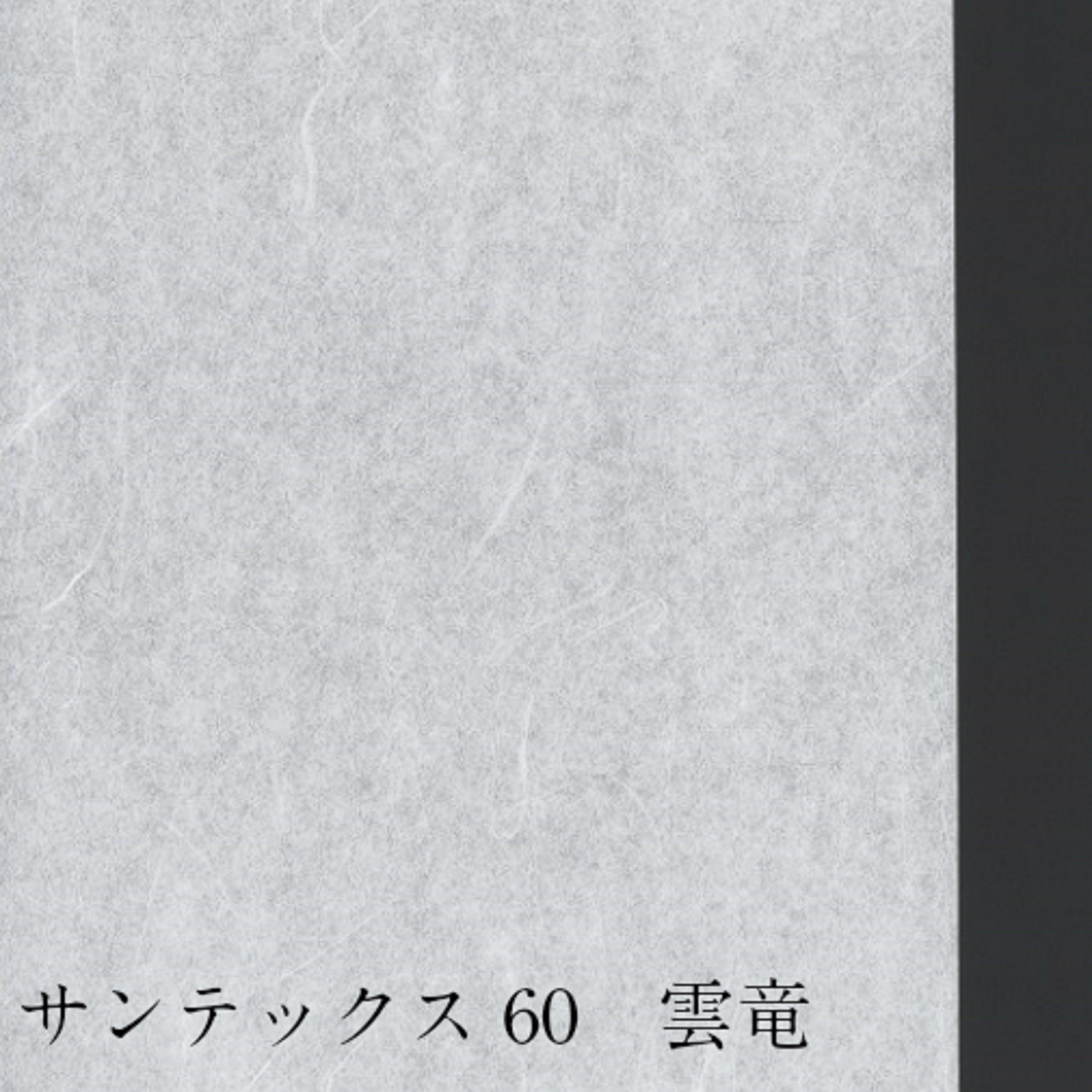 サンテックス ６０ 雲龍 内表950mm×60m　坪量56g
